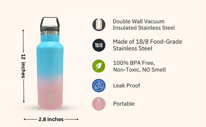 Water Bottle - 25 Oz, Leak Proof - Stainless Steel | Sky Candy