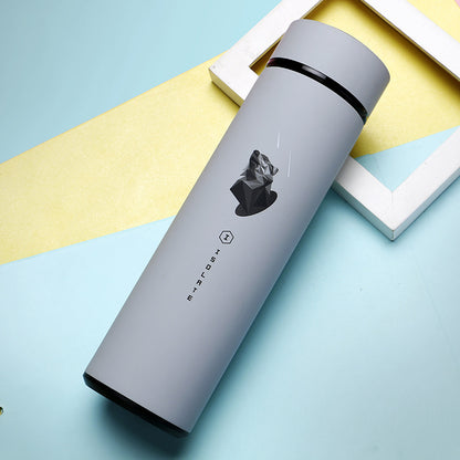 Fashion vacuum stainless steel vacuum flask