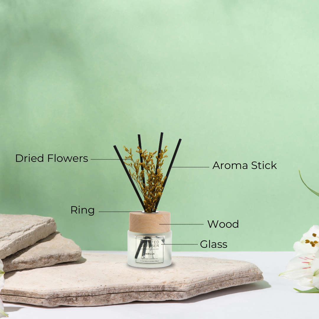 SINT Vanilla Home Fragrance Reed Scented Diffuser (200 ml) with 4 Reed Sticks