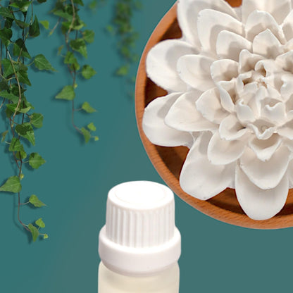 Aroma Diffuser Diatomite Peony Flower 10 ML