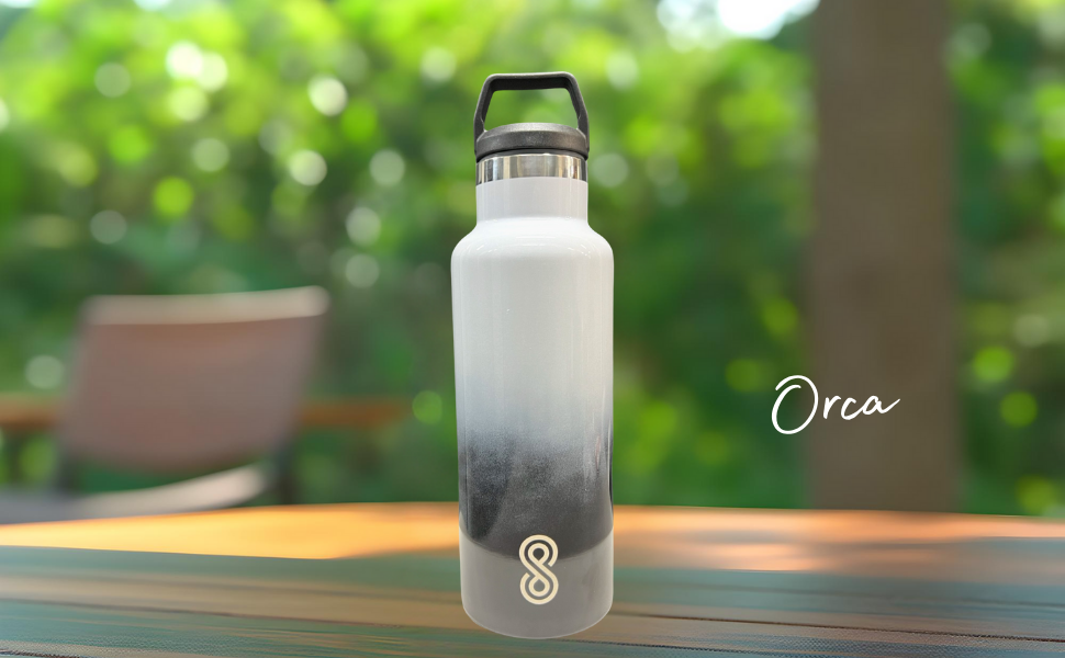 Water Bottle - 17 Oz, Leak Proof - Stainless Steel | Orca