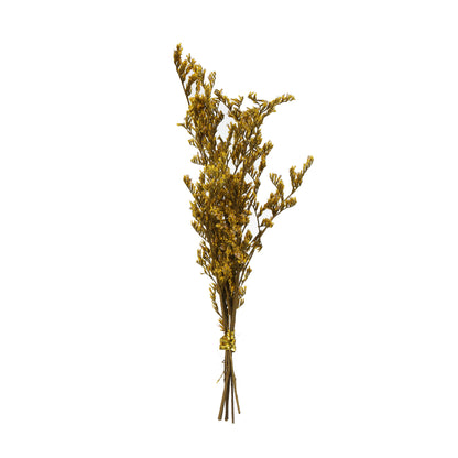 SINT Vanilla Home Fragrance Reed Scented Diffuser (200 ml) with 4 Reed Sticks