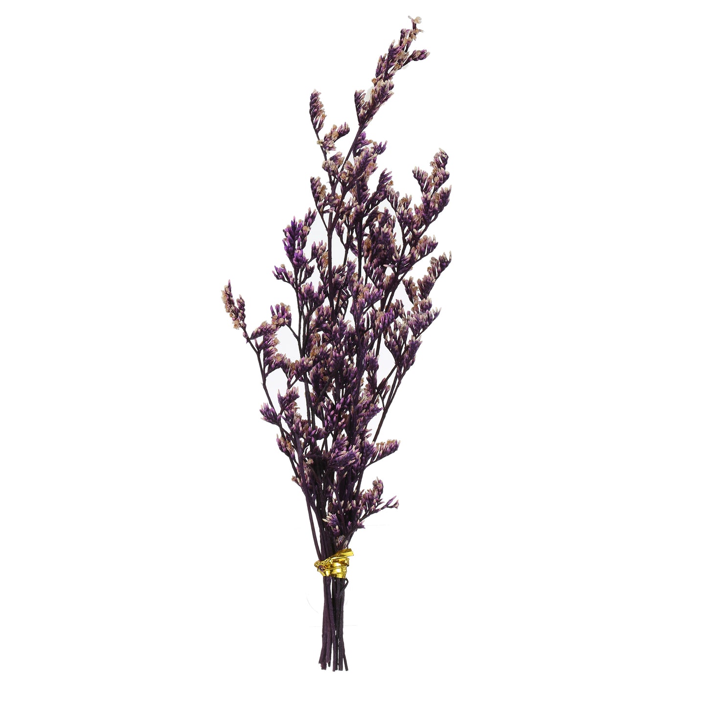 SINT Lavender Home Fragrance Reed Scented Diffuser (200 ml) with 4 Reed Sticks