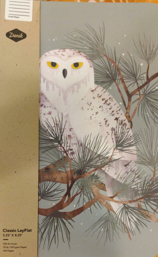 Snowy notebook