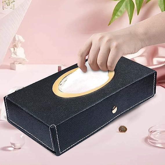 Tissue Holder on Car Dashboard