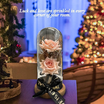 Preserved Rose Gifts for Women