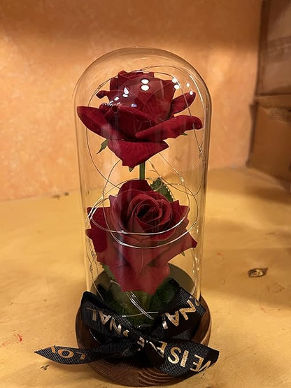 Preserved Rose Gifts for Women