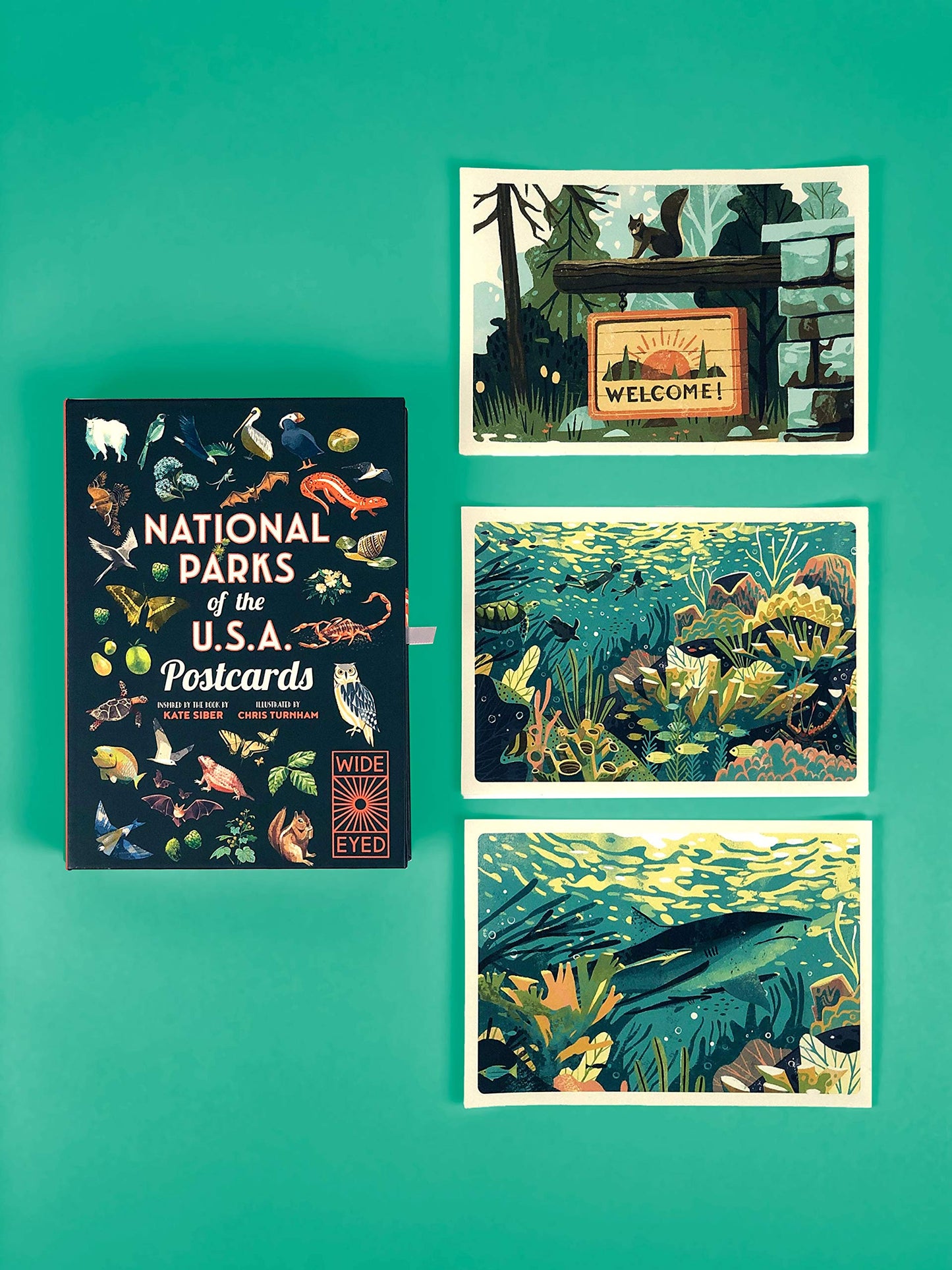 National Parks of the USA Postcards