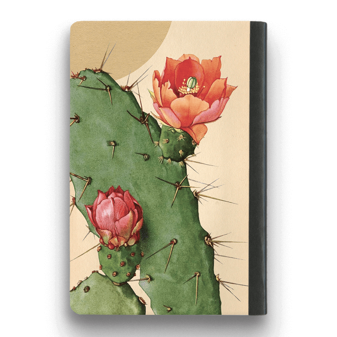 Suketchi Notebook Cactus - Medium